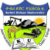 Kebri Dehar University Logo