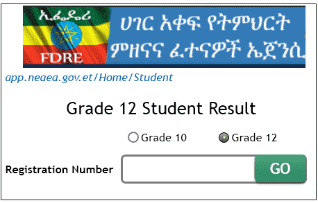 Ethiopia Grade 12 result 2019