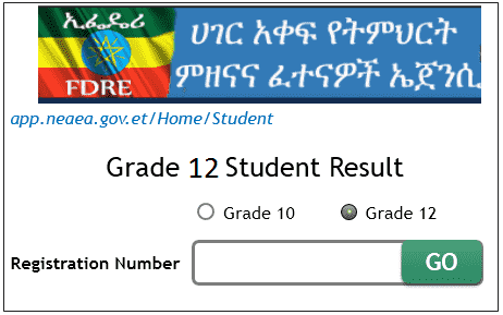www.nae.gov.et grade 12 exam result 2019